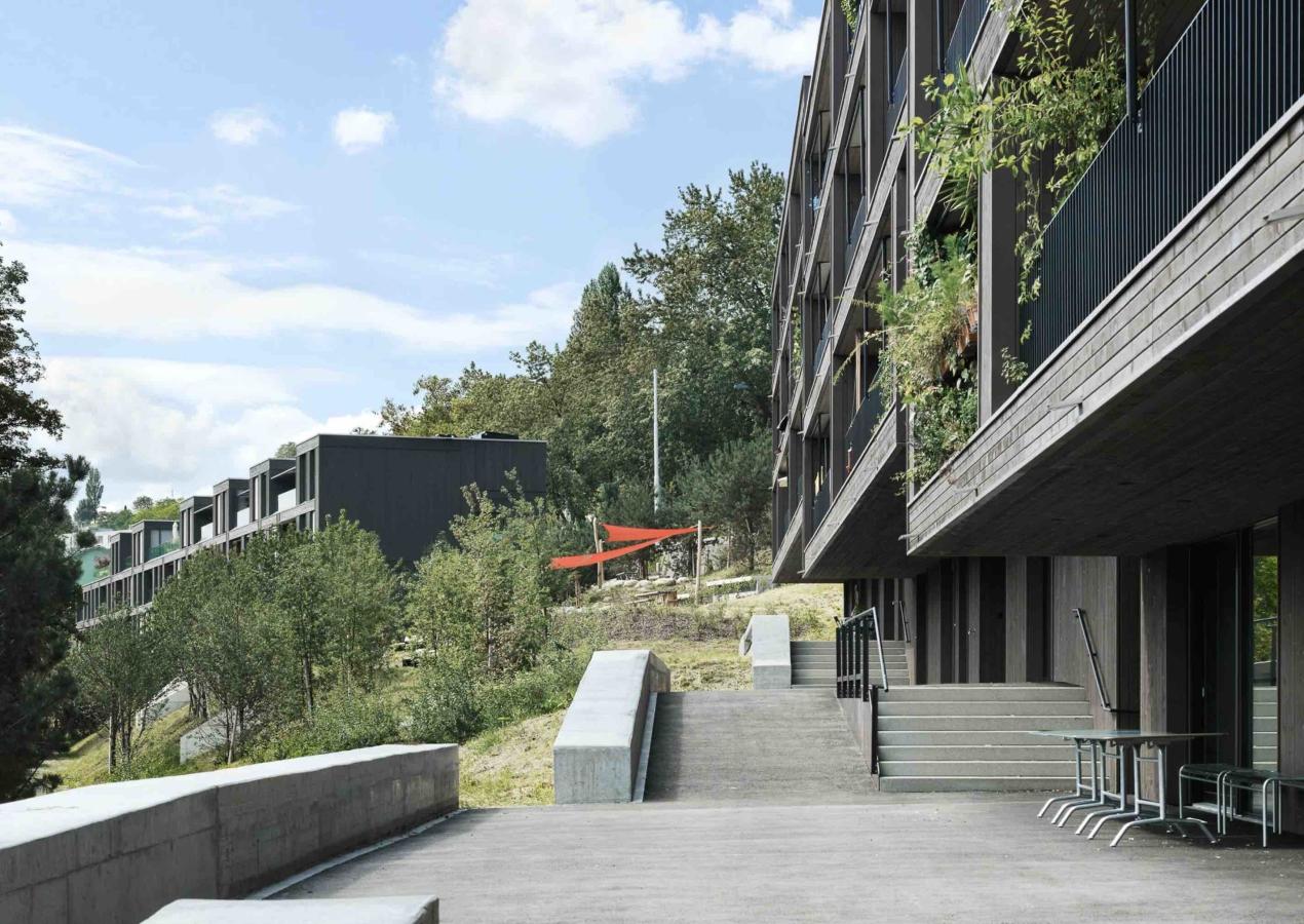 Ersatzneubau Wohnsiedlung Areal Tièchestrasse Zürich-Wipkingen